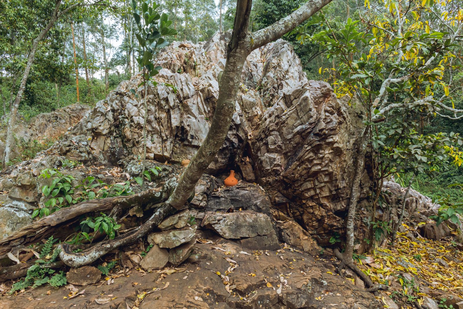 Sezibwa Falls Tour in Mukono - photo 8
